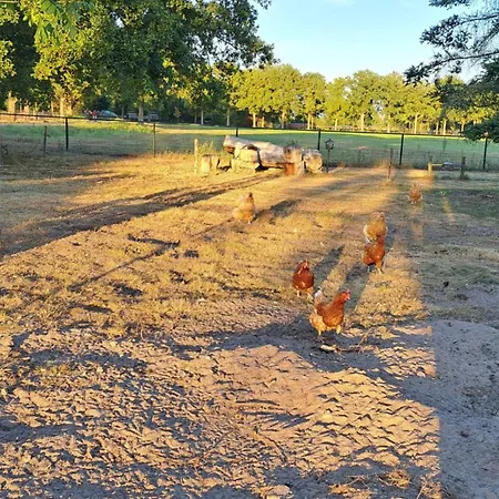 Vakantiewoning Opdebaan Каатсхойвел