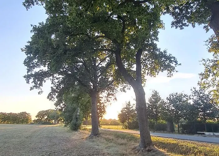 Апартаменты Vakantiewoning Opdebaan *