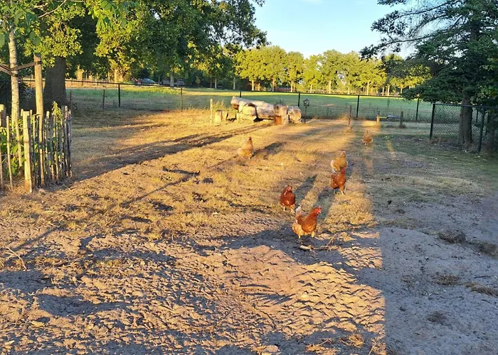 Vakantiewoning Opdebaan Kaatsheuvel